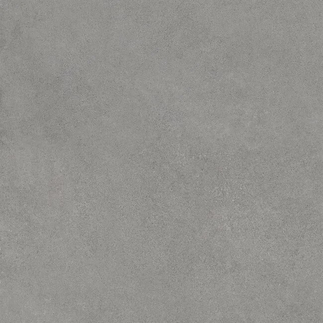 Dlažba Rawtech Silver 60x60