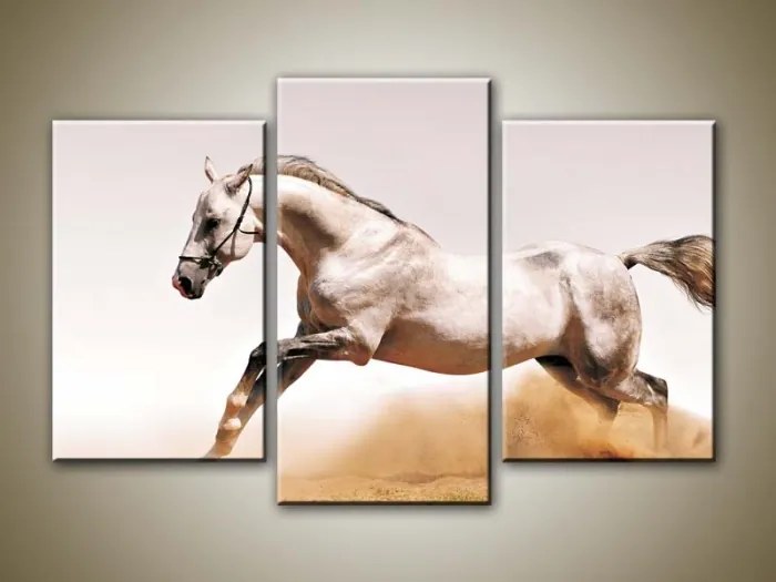 Xdecor Kôň v piesku - Trojdielny obraz (75 x 50 cm)