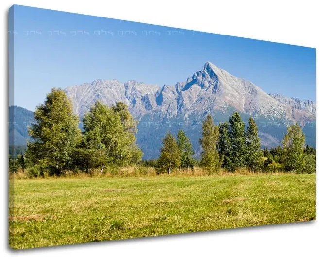 Obraz na stenu SLOVENSKO | rôzne rozmery