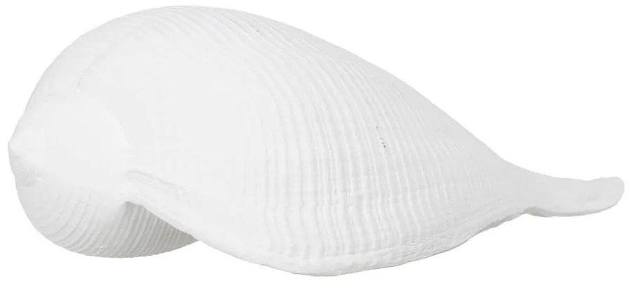 Soška z polyresínu (výška 5 cm) Seashell – Ixia