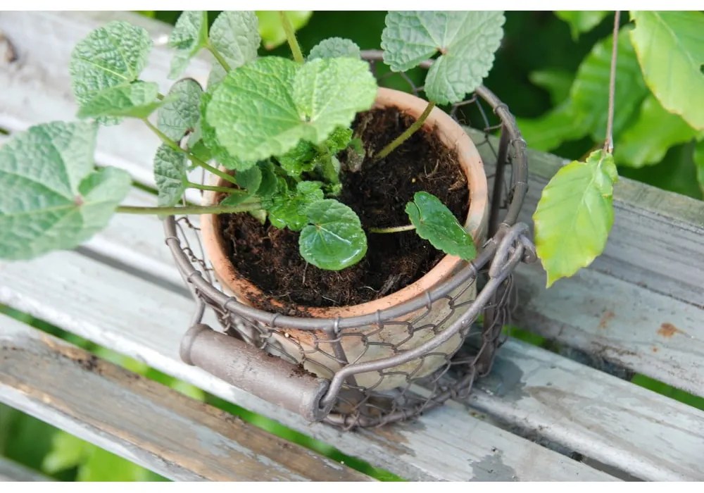 Terakotový ručne vyrobený kvetináč ø 12 cm – Esschert Design