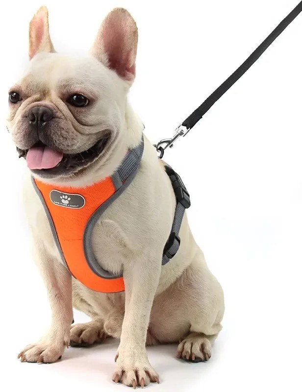 Postroj pre psov ASTRO S oranžový