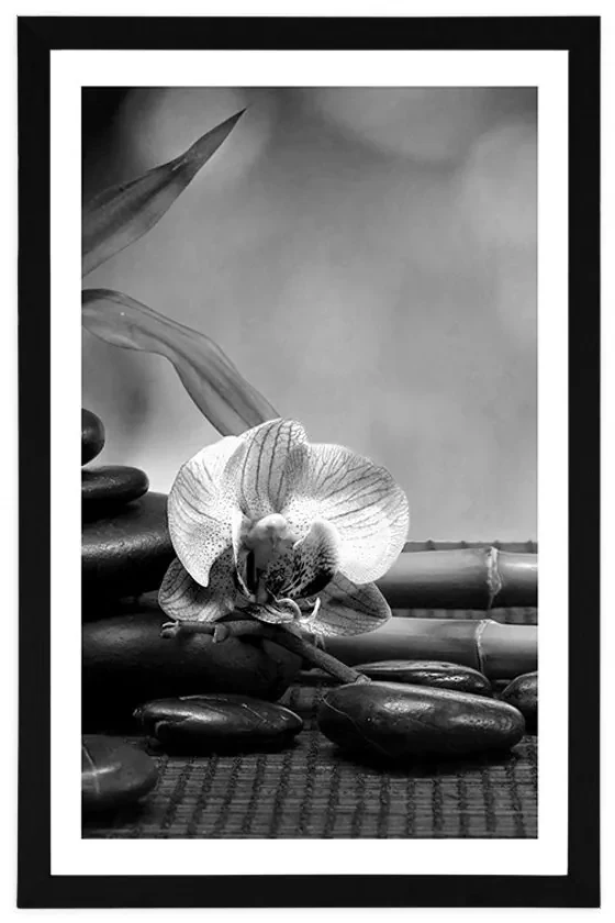 Plagát s paspartou Feng Shui zátišie v čiernobielom prevedení - 40x60 white