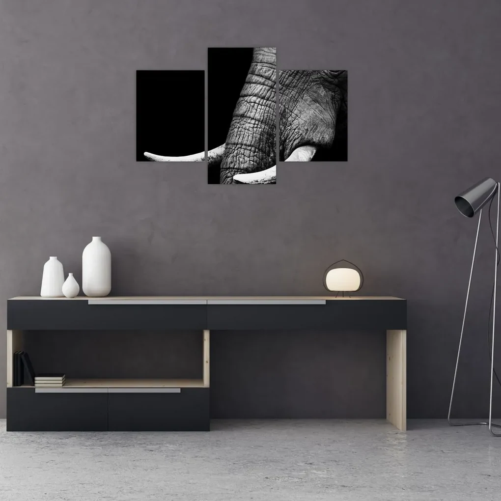 Obraz - Slonie kly (90x60 cm)