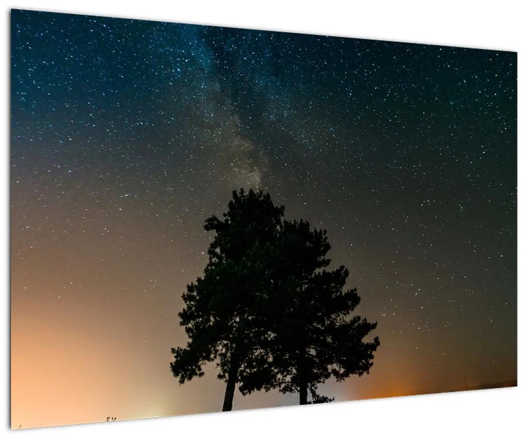 Obraz nočnej oblohy so stromami (90x60 cm)