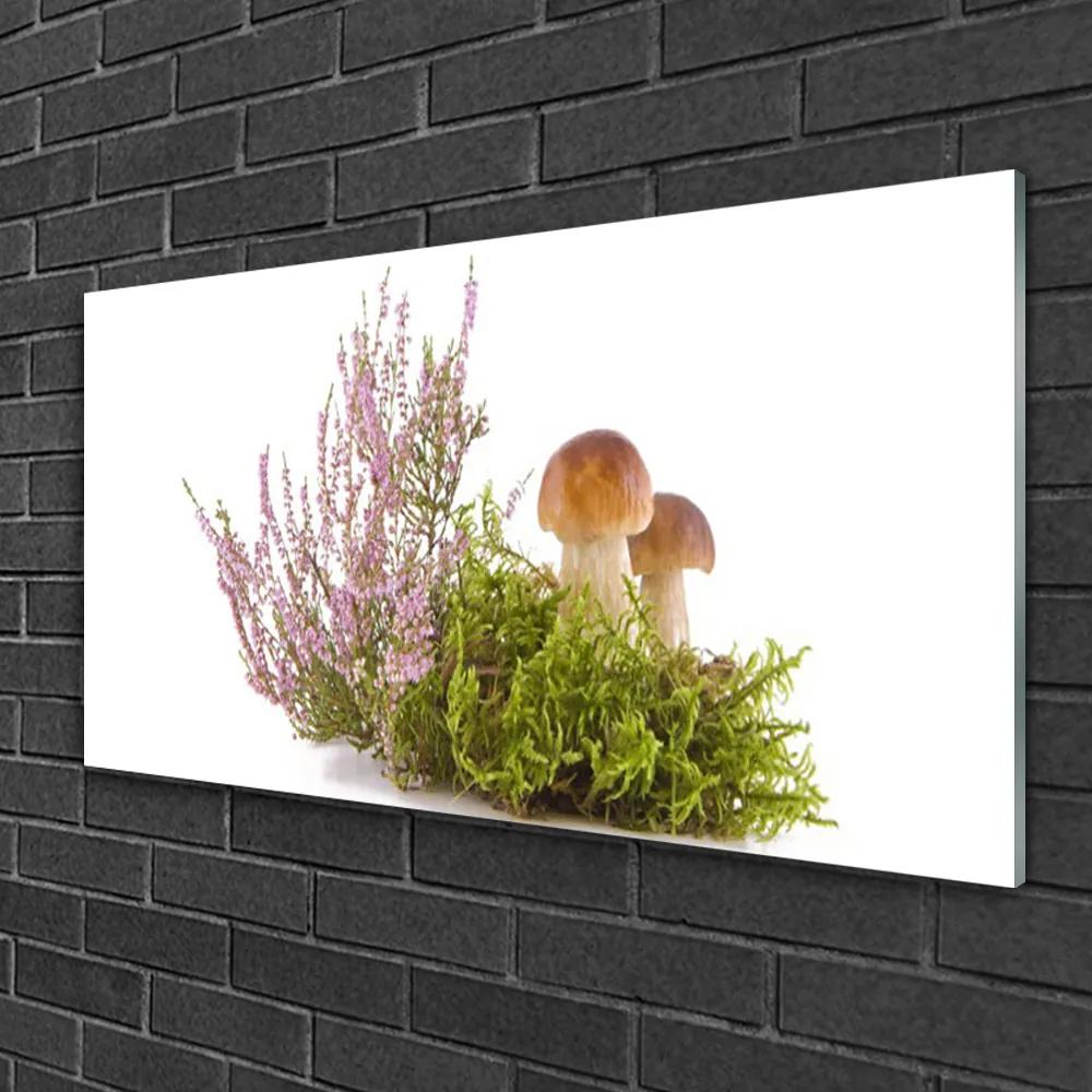 Skleneny obraz Huby rastlina príroda 125x50 cm
