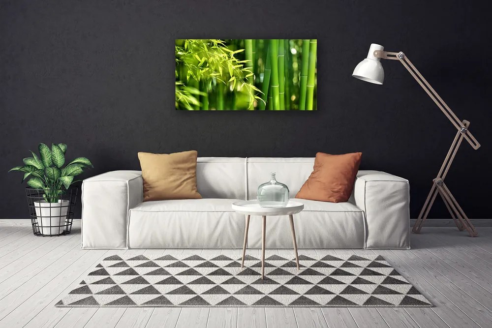 Obraz Canvas Bambus listy rastlina 125x50 cm