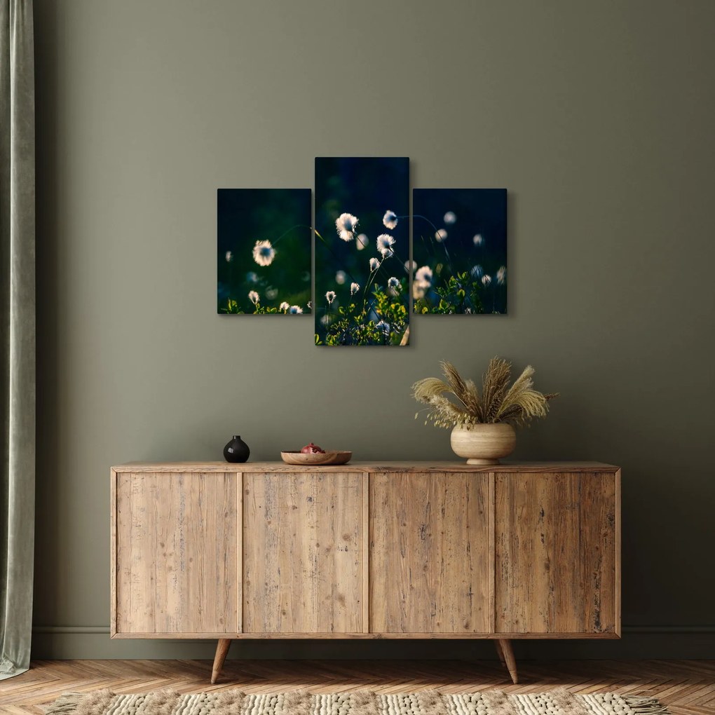 Obraz - Tráva (90x60 cm)