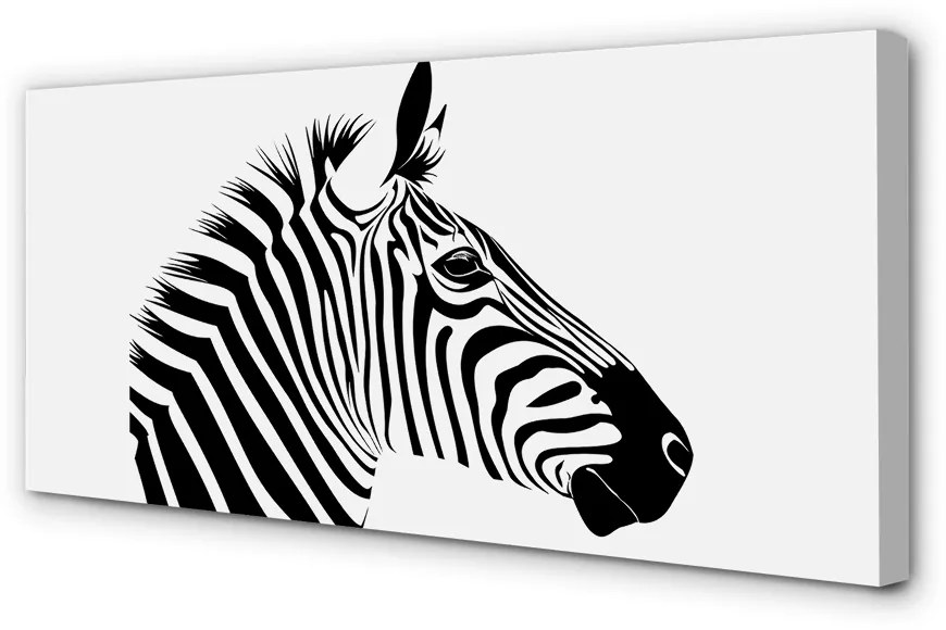 Obraz na plátne ilustrácie zebra 100x50 cm