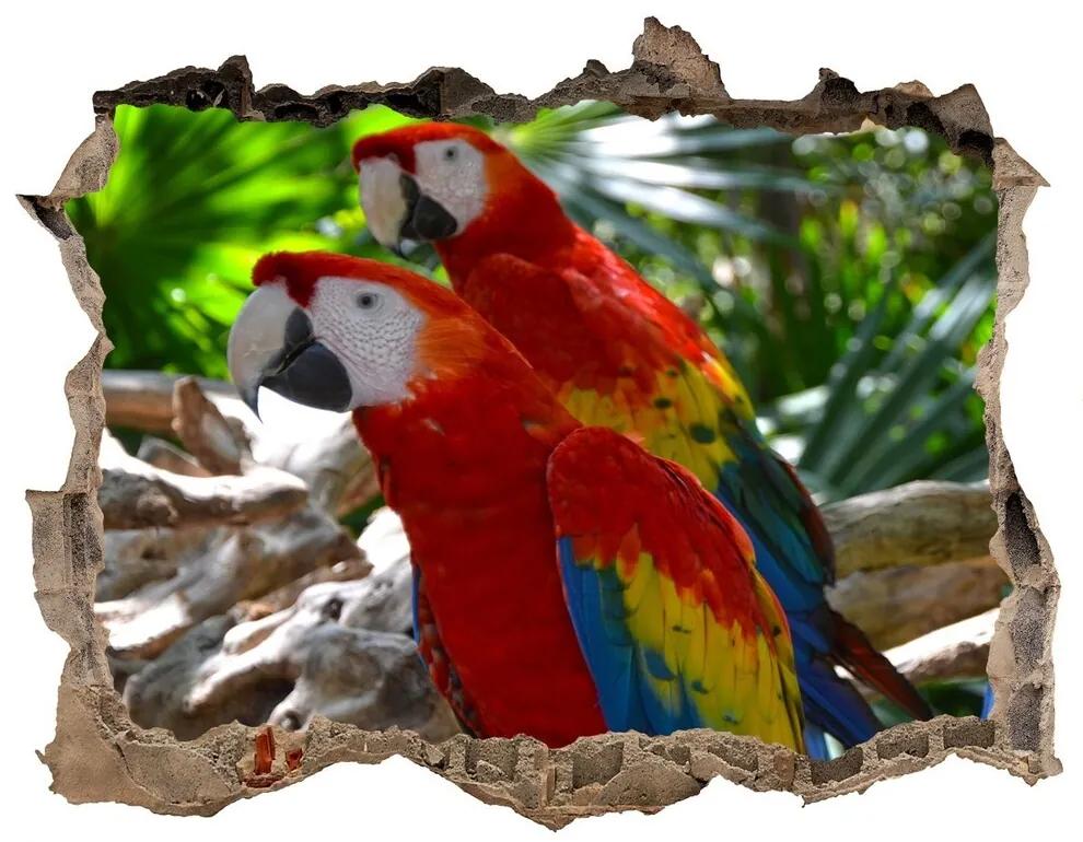 Díra 3D fototapeta nálepka Papagáje ara nd-k-101702658