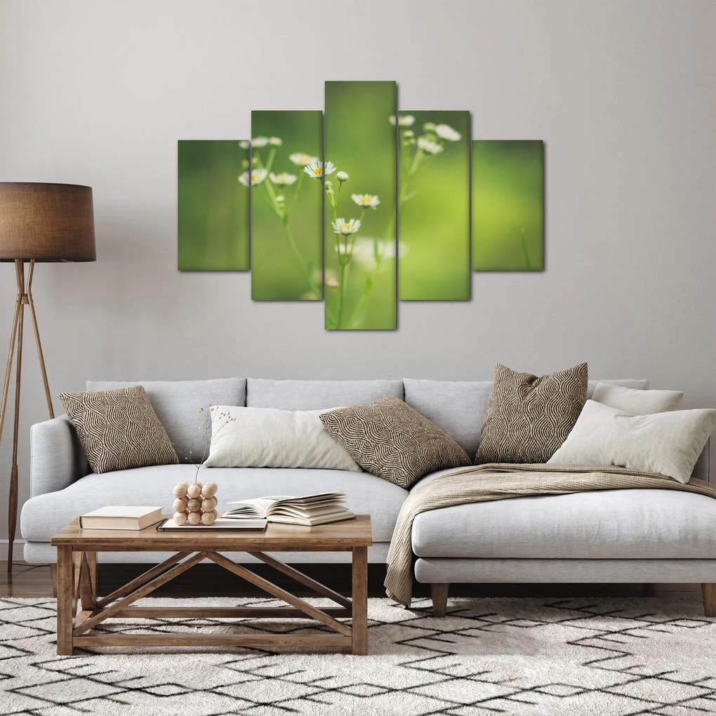 Obraz Sedmokrásky (150x105 cm)