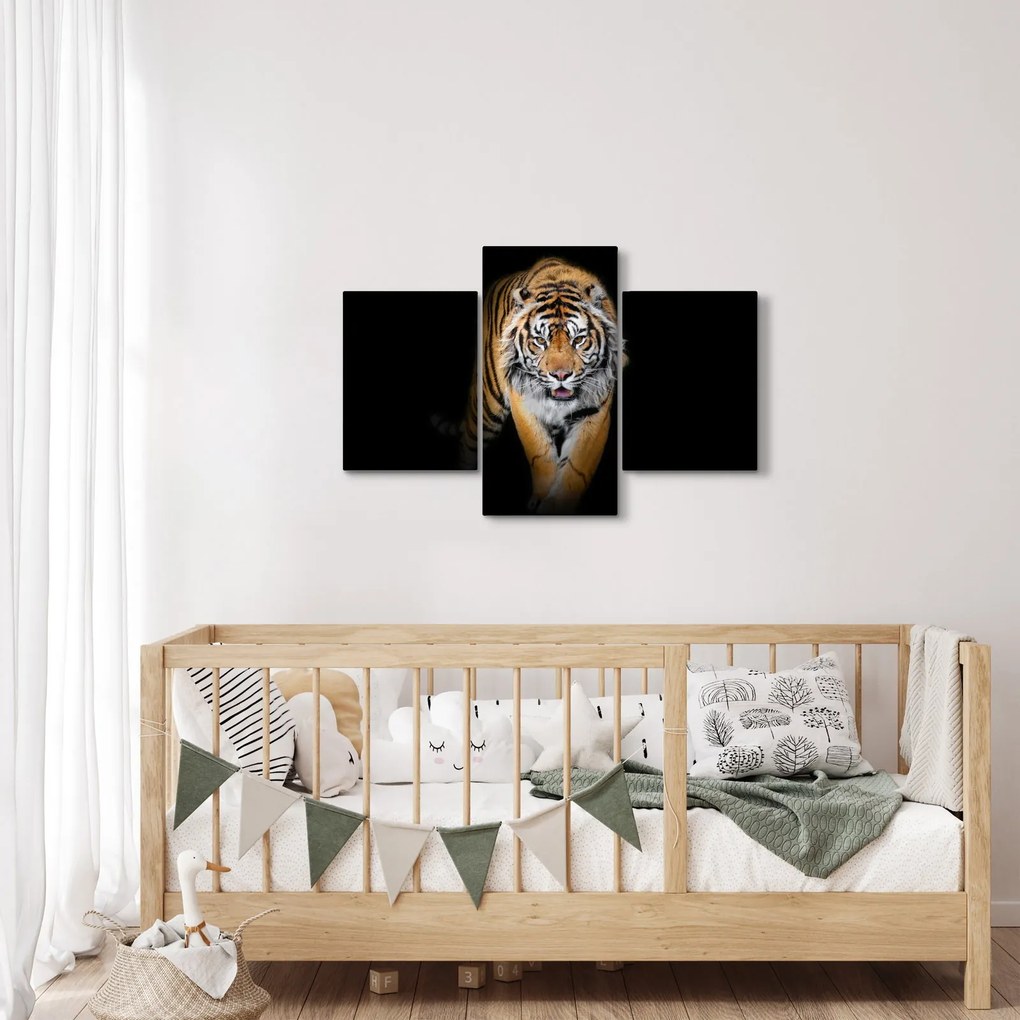 Obraz - Tiger (90x60 cm)