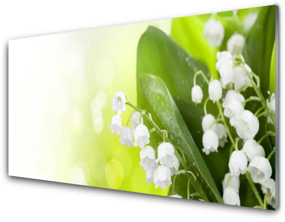 Obraz plexi Konvalinky listy kvety lúka 140x70 cm