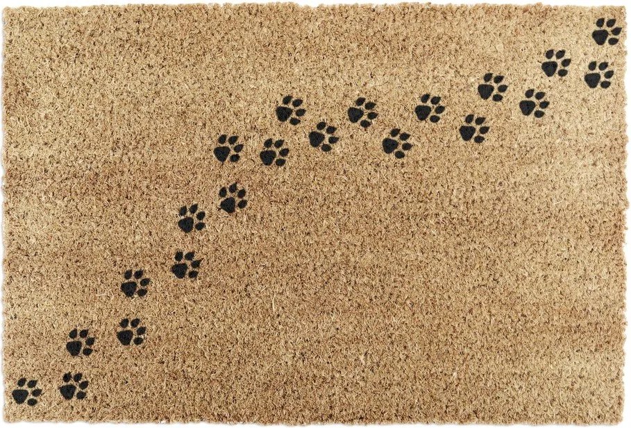Rohožka z kokosového vlákna 40x60 cm Paw Prints – Artsy Doormats