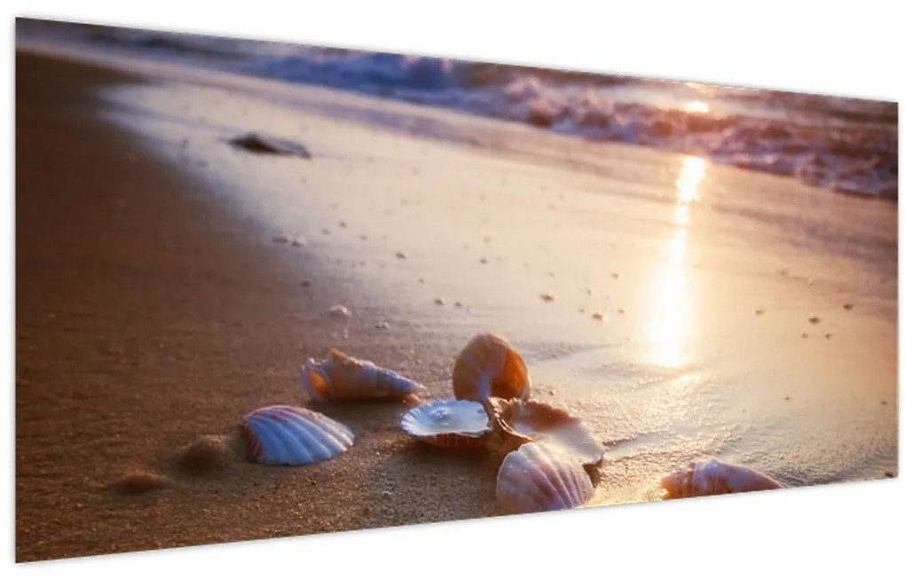Obraz - Mušle (120x50 cm)