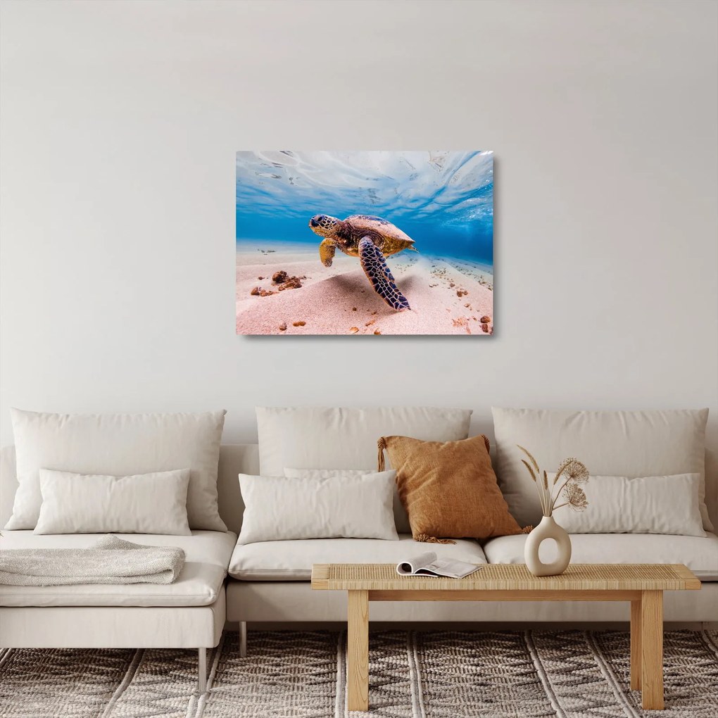 Sklenený obraz korytnačky v oceáne (70x50 cm)