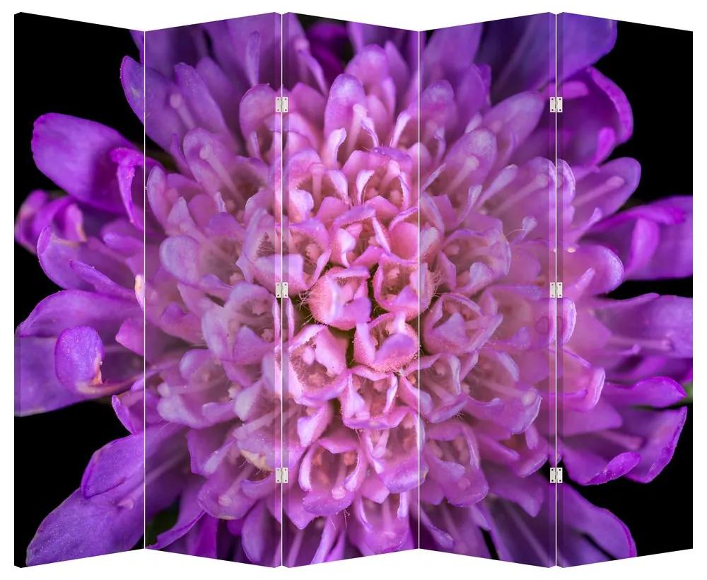 Paraván - Detail kvetu (210x170 cm)