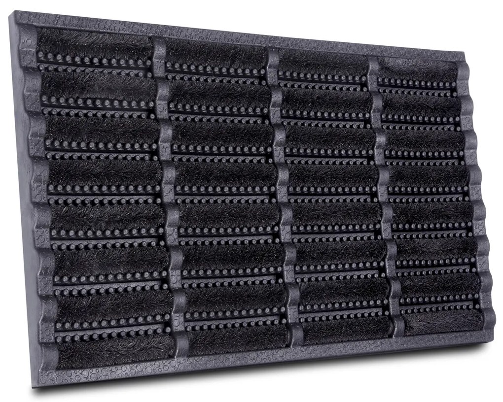 Hanse Home, Vonkajšie čistiaci rohožka Mix Mats Brushes 105648 Black – na von aj na doma, 40x60, čierna, exteriér