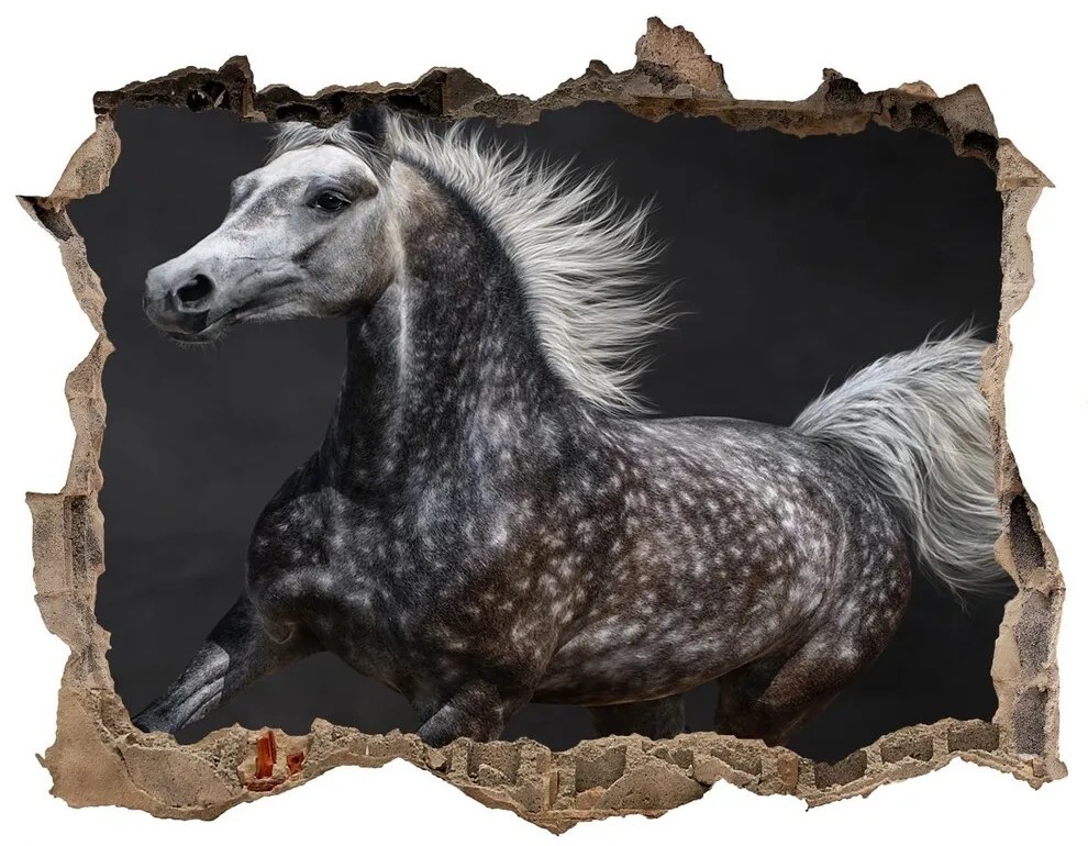 Díra 3D fototapeta na stěnu Gray arabský kôň nd-k-49747605