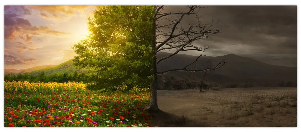 Obraz - Kolobeh života (120x50 cm)