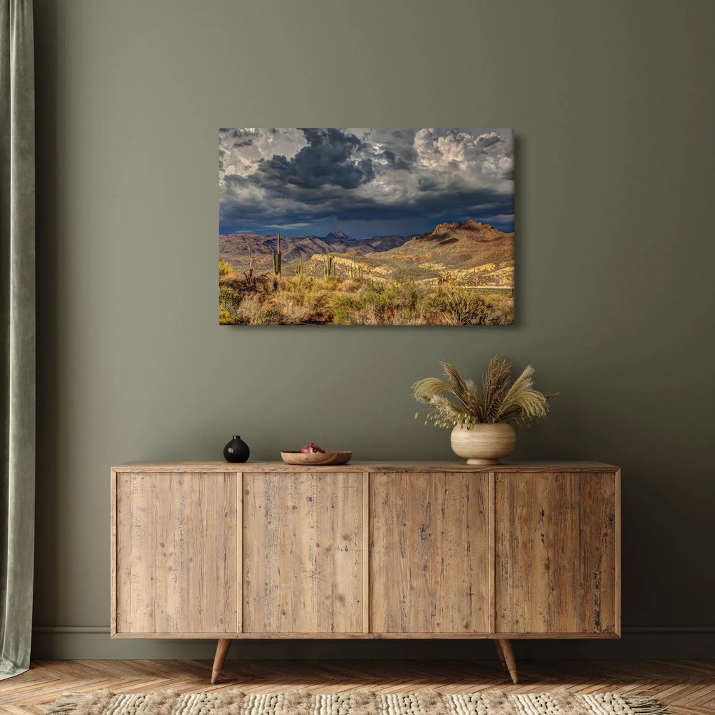 Obraz - kaktusy v prírode (90x60 cm)