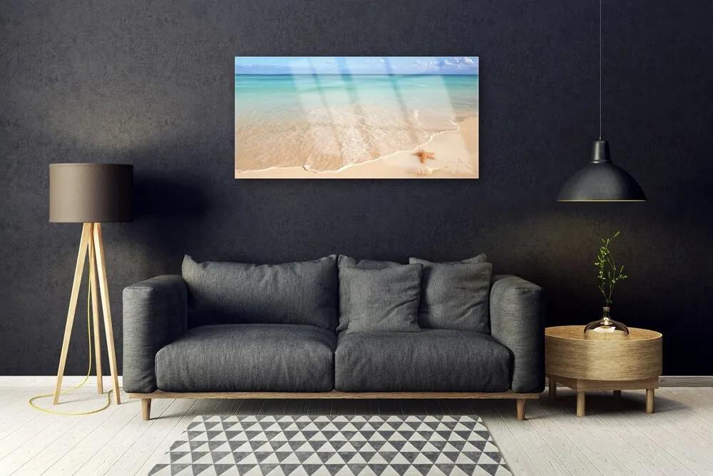Obraz na skle Pláž hviezdice príroda 100x50 cm