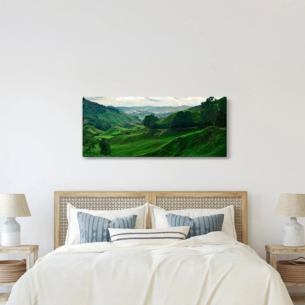 Obraz - Čajové plantáže v Malajzii (120x50 cm)