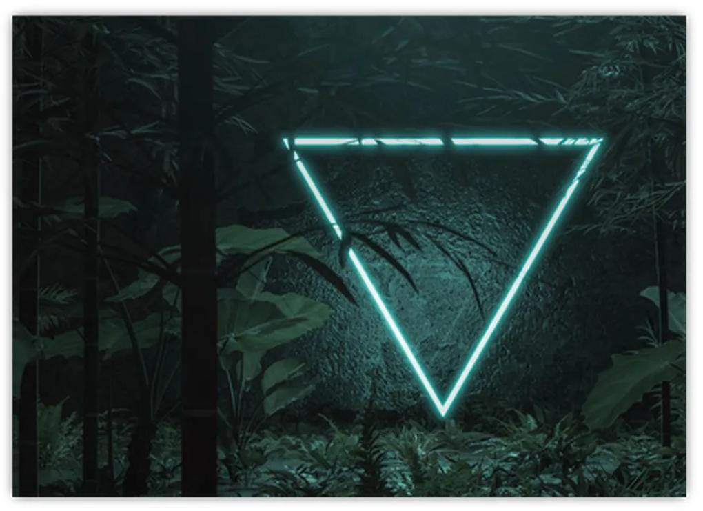 Sklenený obraz - Neónový trojuholník v jungli (70x50 cm)