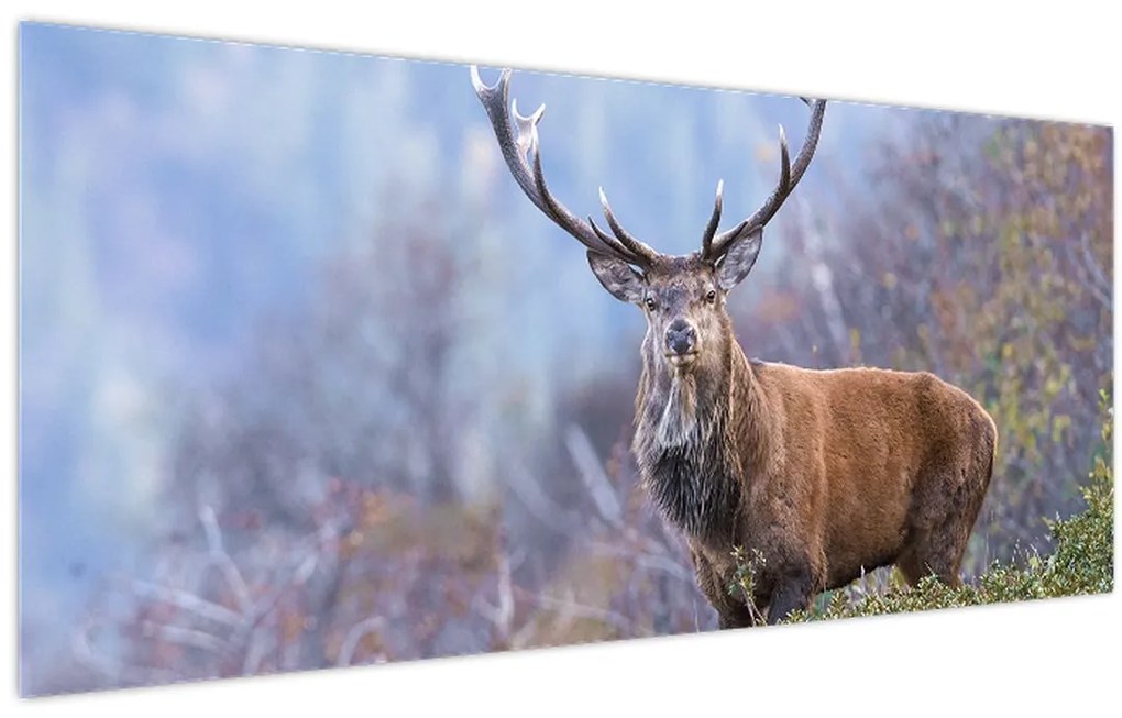Obraz - Jeleň v krajine (120x50 cm)