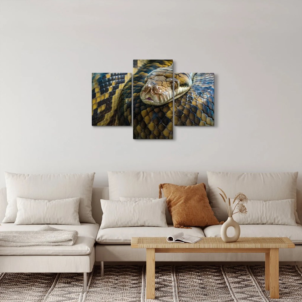 Obraz - Pytón (90x60 cm)