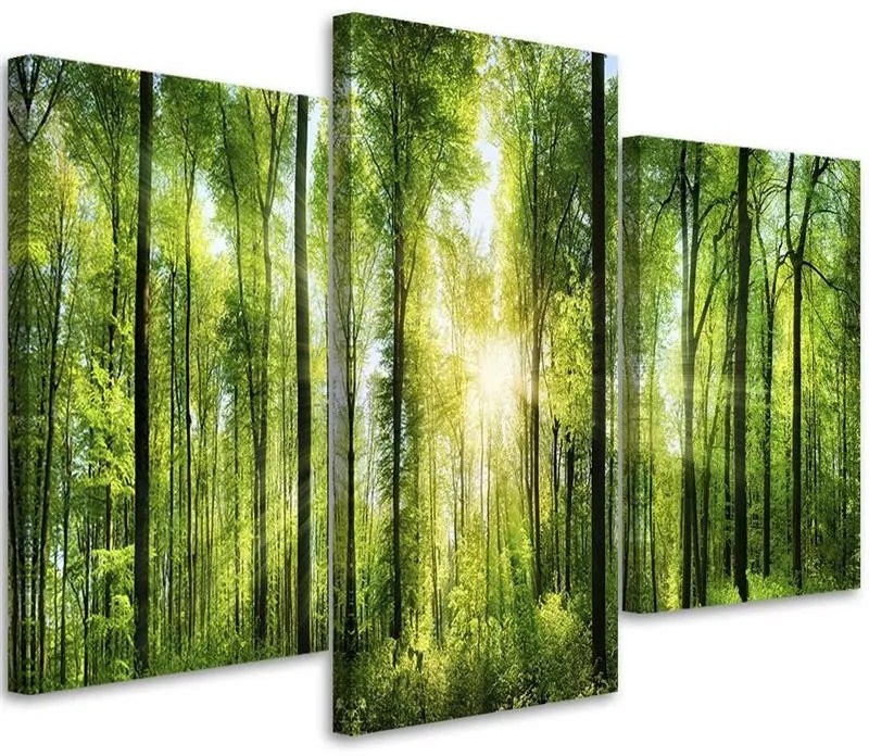 Gario Obraz na plátne Slnečné lúče v zelenom lese - 3 dielny Rozmery: 150 x 100 cm