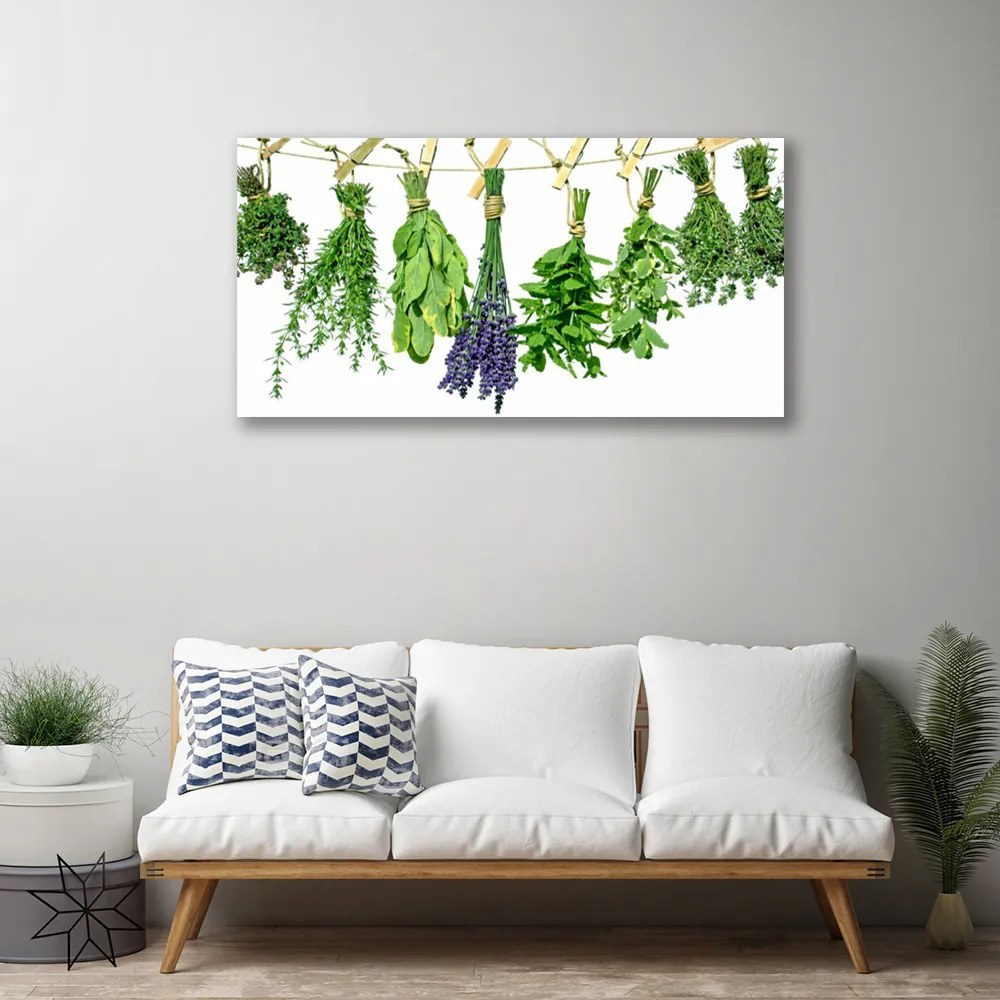 Obraz Canvas Plátky kvety byliny 125x50 cm