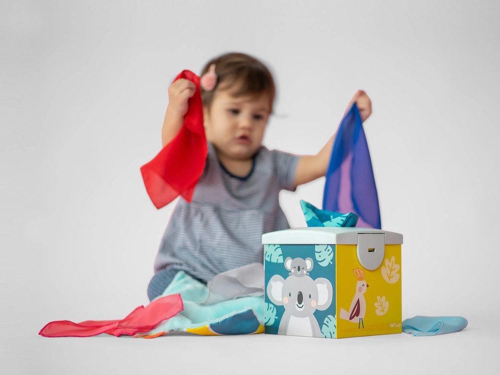 Box so šatkami Koala Kimmi