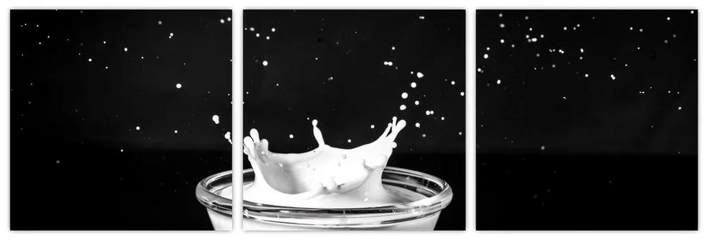 Obraz misky s mliekom