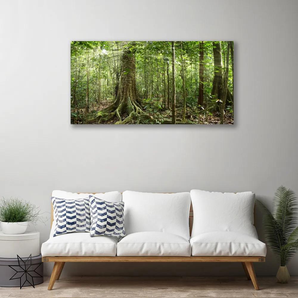 Obraz Canvas Les príroda džungle 120x60 cm