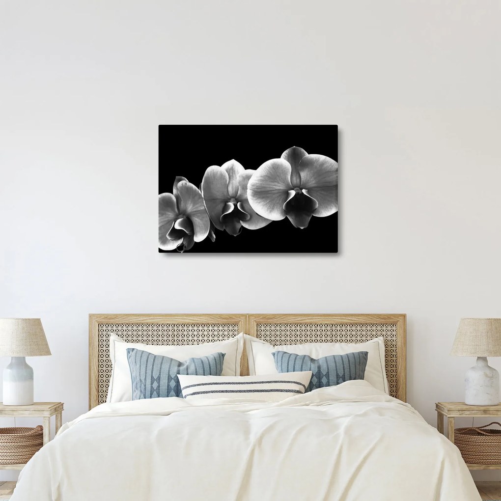 Obraz kvetu orchidey (70x50 cm)