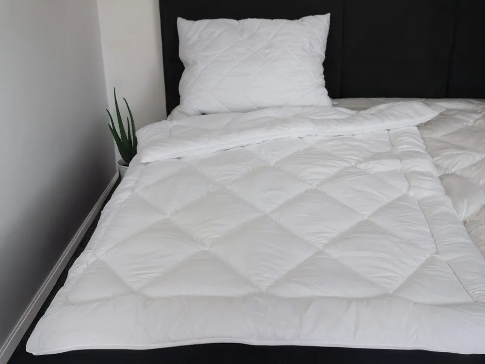 2G Lipov Súprava Aloe Vera extra hrejivá - 220x200 / 2x70x90 cm | 1ks