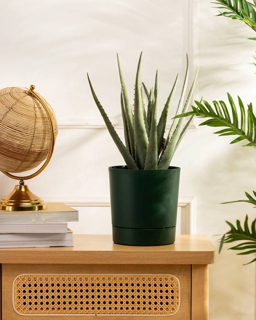 Sada 2 ks květináčů Azalea černý beton