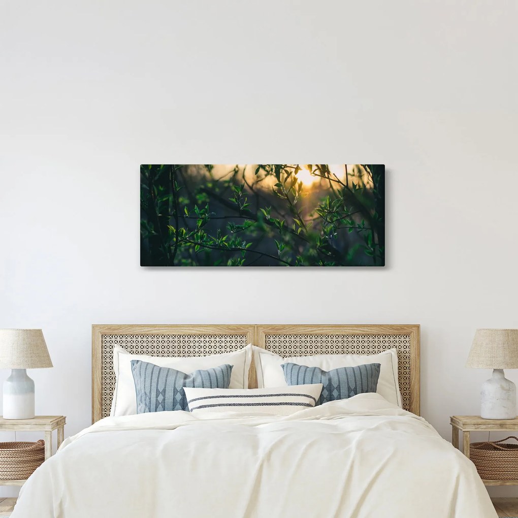 Obraz presvitajúceho slnka cez vetvičky stromov (120x50 cm)