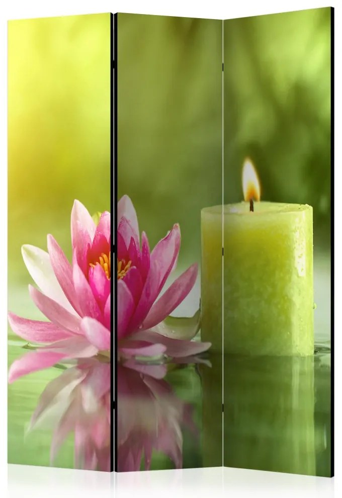 Artgeist Paraván - Nature Relaxation [Room Dividers]
