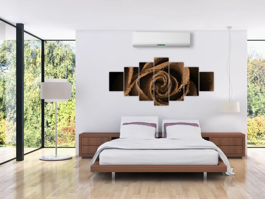 Detail ruže - obraz