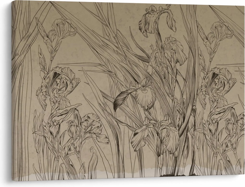 Obraz - Obrysy rastlín (70x50 cm)