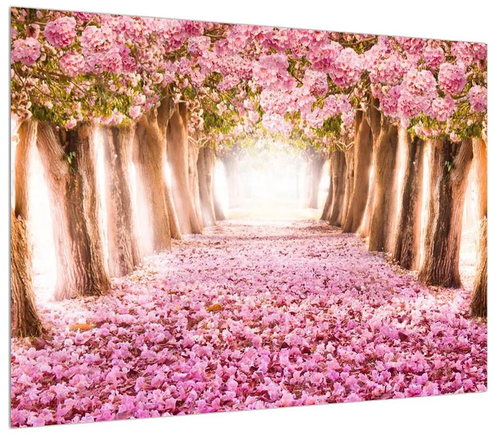 Obraz kvetinového chodníka (70x50 cm)