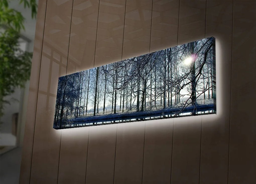 Obraz s LED osvetlením ZIMNÁ KRAJINA 37 30 x 90 cm