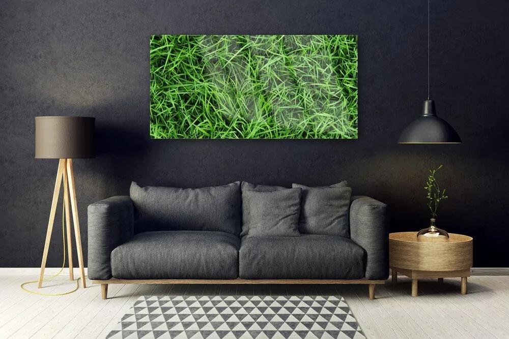 Obraz na akrylátovom skle Tráva trávnik 120x60 cm