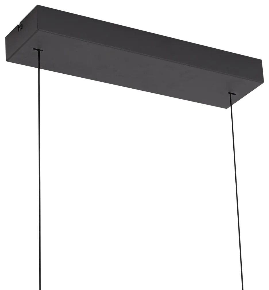 Moderné závesné svietidlo čierne s dymovým sklom vrátane LED Easylift - Catch