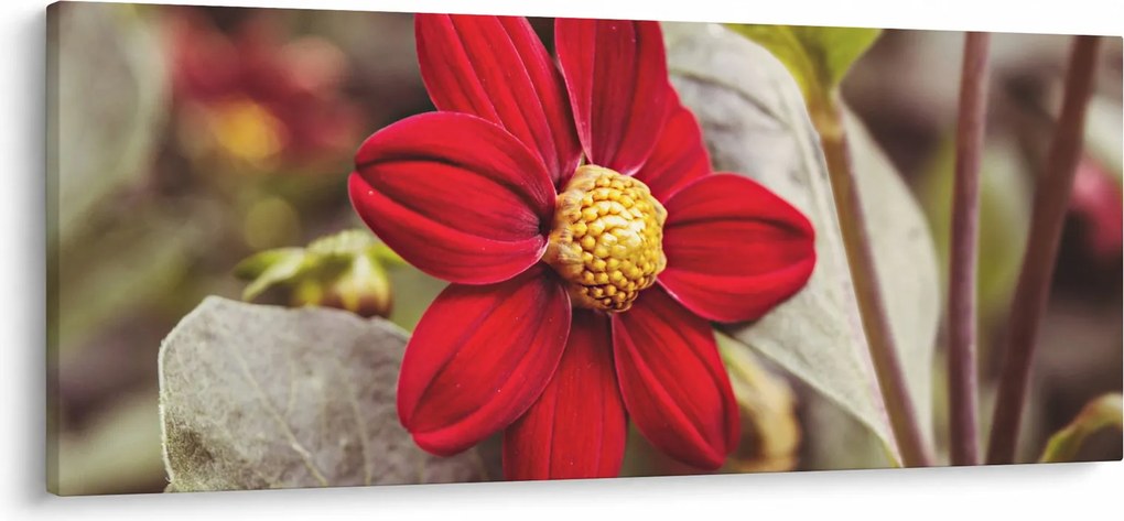 Obraz kvetiny (120x50 cm)
