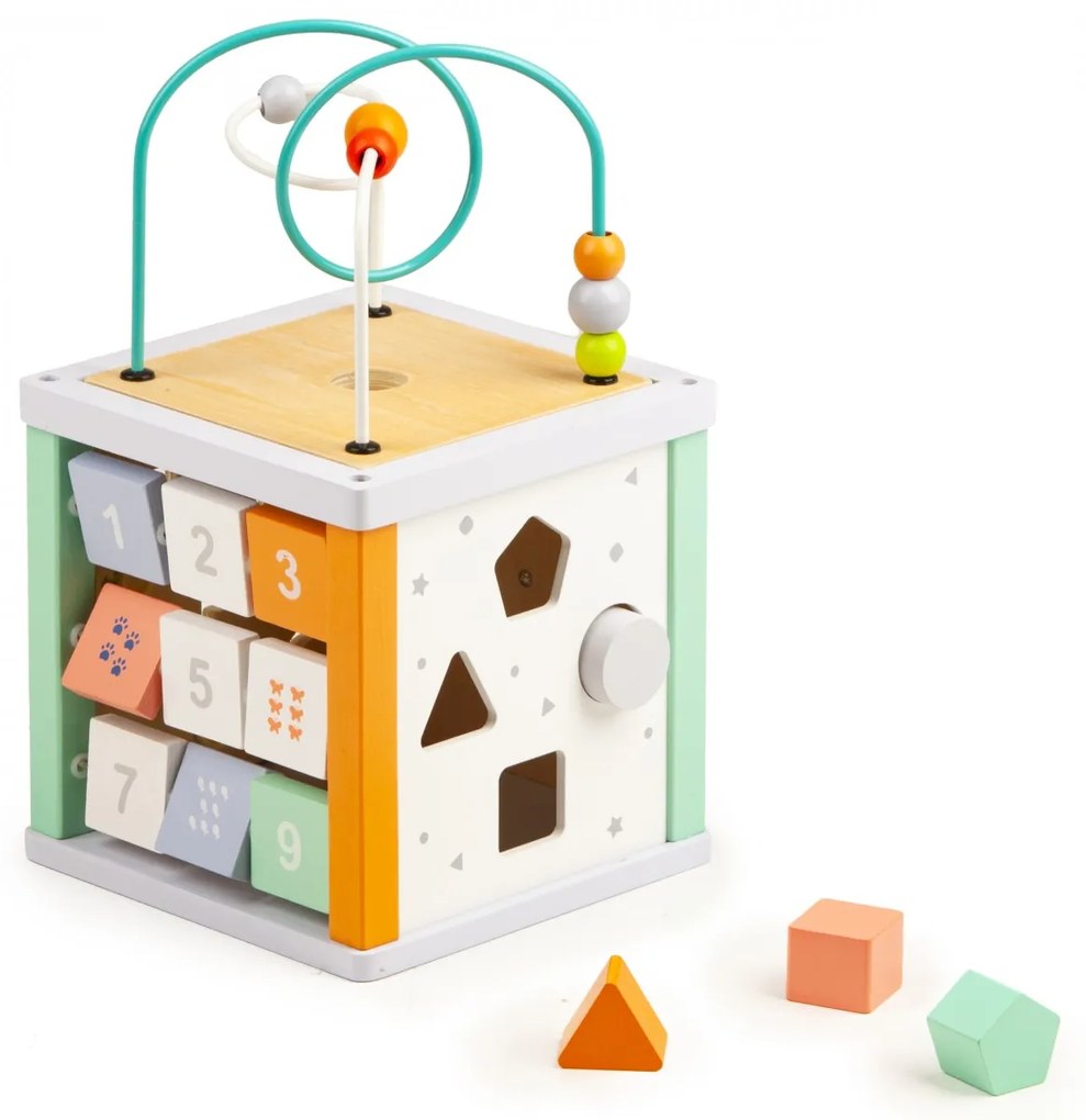 ECOTOYS Vzdelávacia drevená kocka pre deti + malé kocky