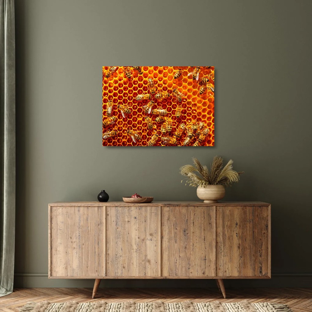 Sklenený obraz - Medový plást (70x50 cm)