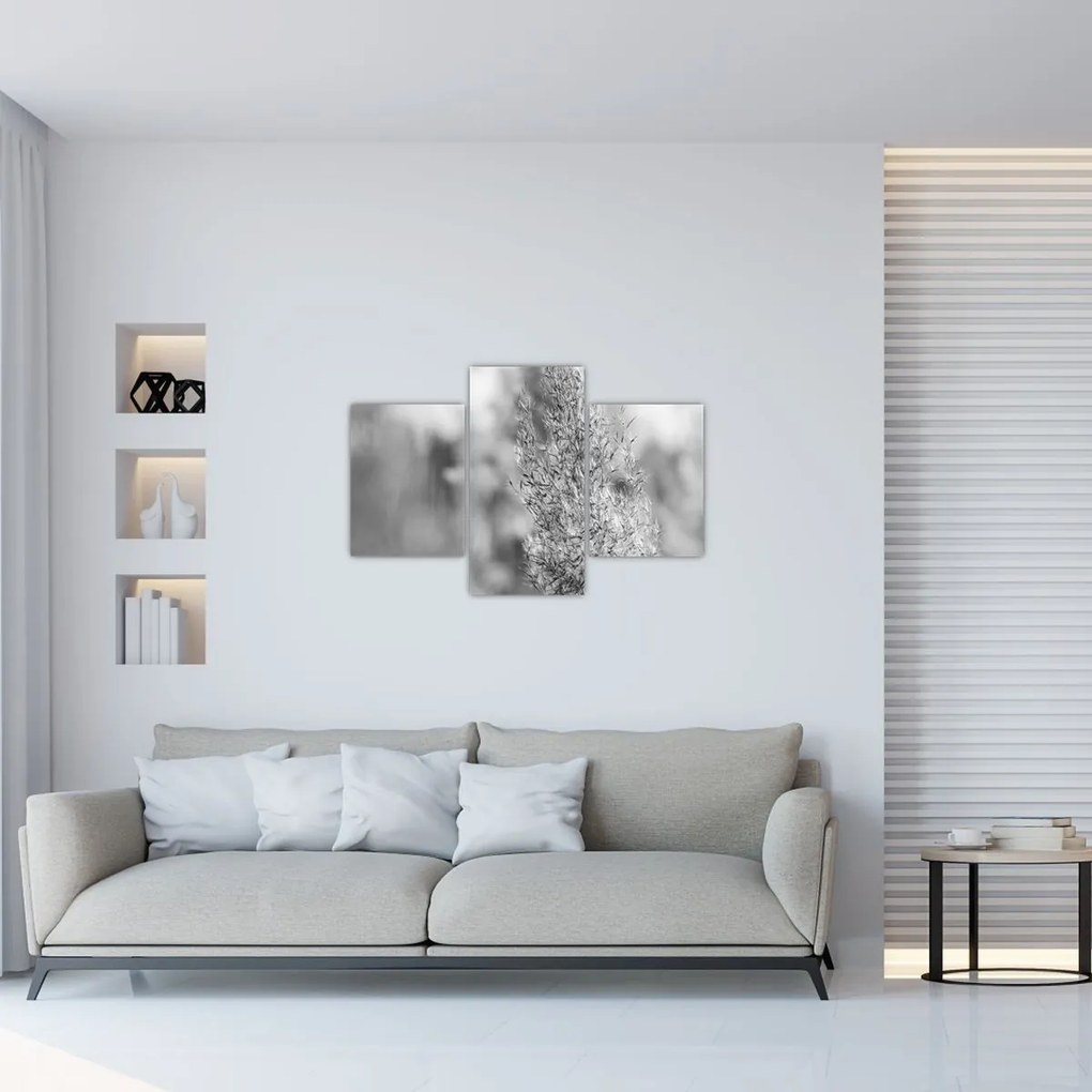 Obraz - Boho pampas grass (90x60 cm)